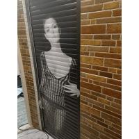 Роллетные конструкции с рисунком